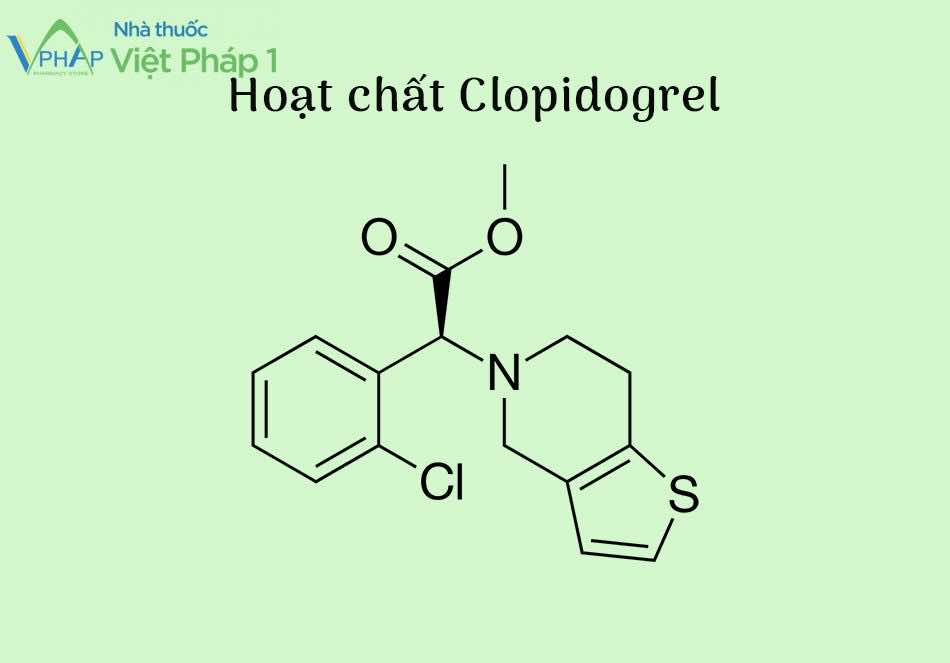 CTCT của hoạt chất Clopidogrel