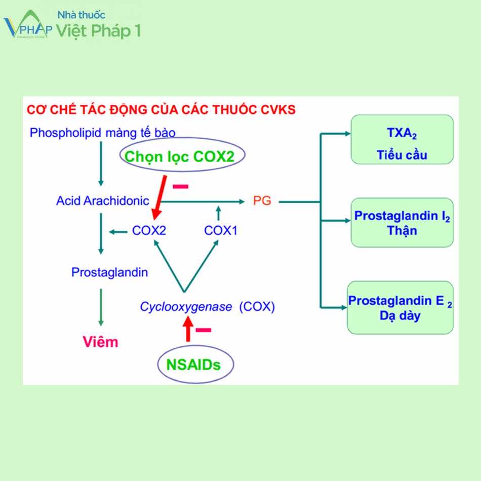 Etoricoxib 60mg trong Roticox ức chế chọn lọc COX-2 giúp chống viêm