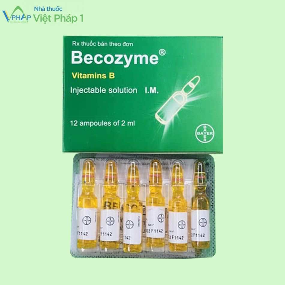 Hộp và ống thuốc tiêm becozyme 2ml