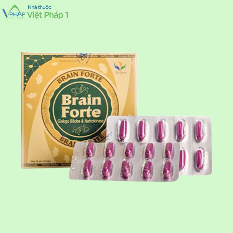Hộp và vỉ Brain Forte Gold