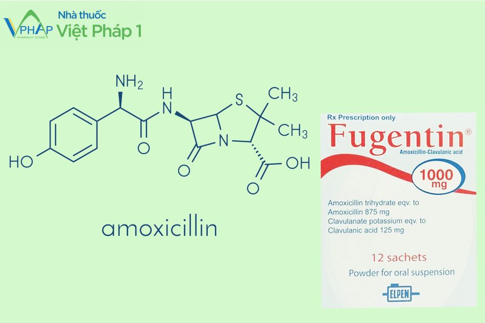 Thành phần của thuốc Fugentin 1000mg