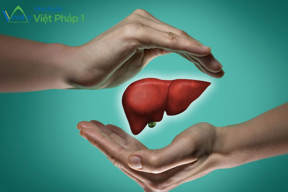 Thuốc Phabadarin 140 giúp bảo vệ tế bào gan trước các nguyên nhân gây tổn thương gan