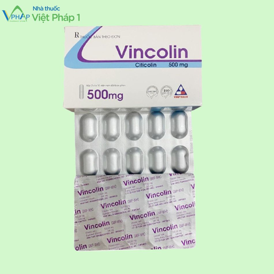 Hộp và vỉ thuốc Vincolin 500mg