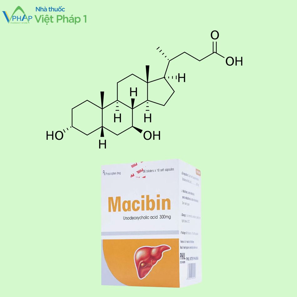 Thành phần chính trong thuốc Macibin 300 là Acid Ursodeoxycholic