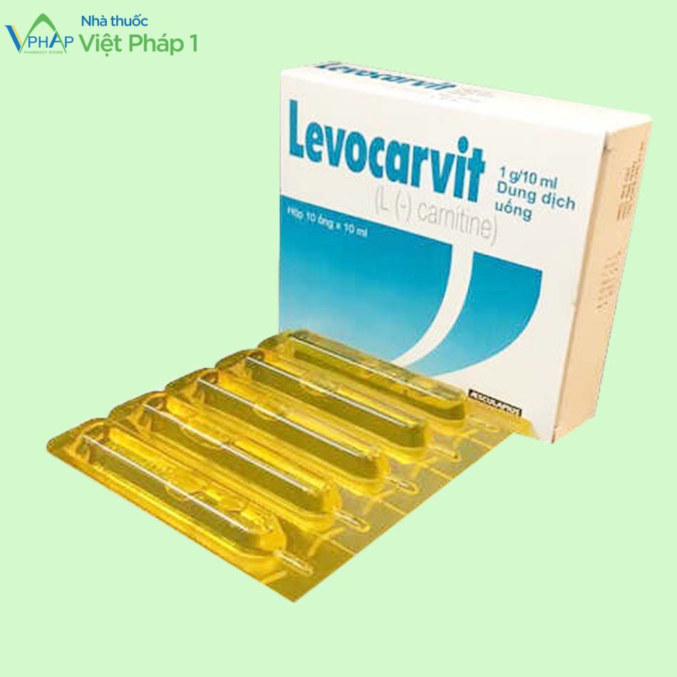 Hình ảnh hộp và ống thuốc Levocarvit