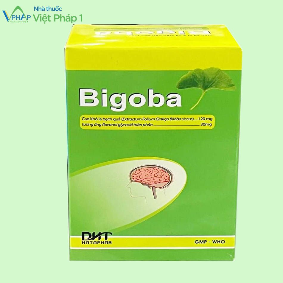 Thuốc Bigoba dùng trong các trường hợp suy giảm trí nhớ, rối loạn tuần hoàn máu