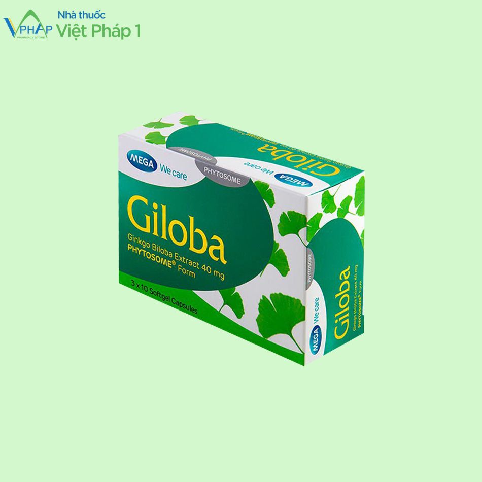 Hình ảnh sản phẩm Giloba 80