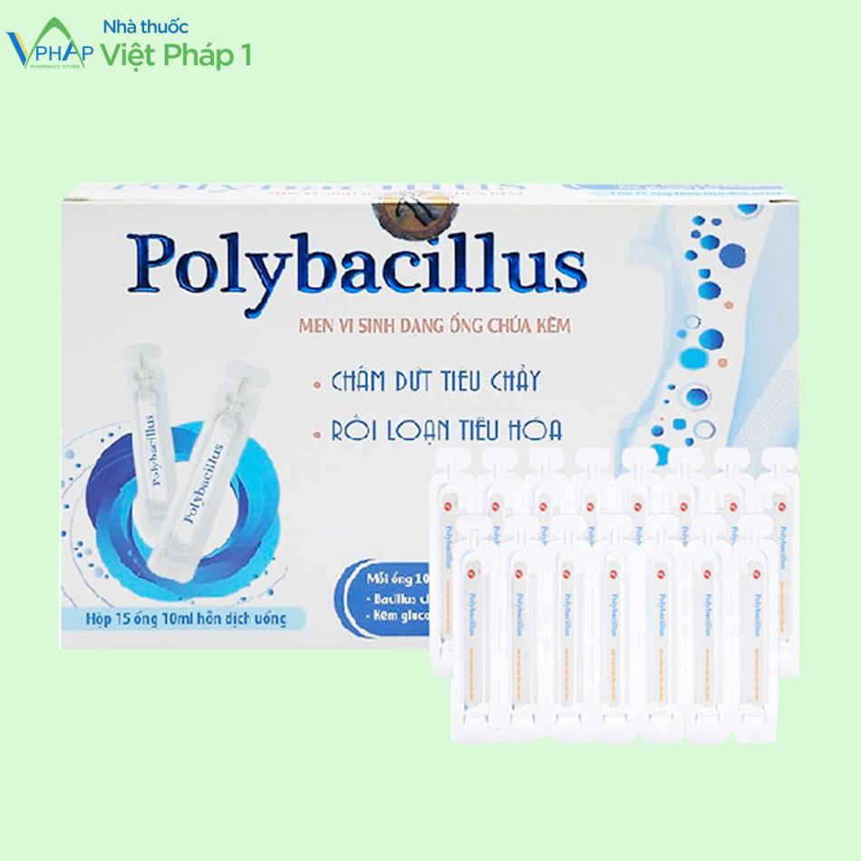 Hộp và ống dung dịch men vi sinh Polybacillus