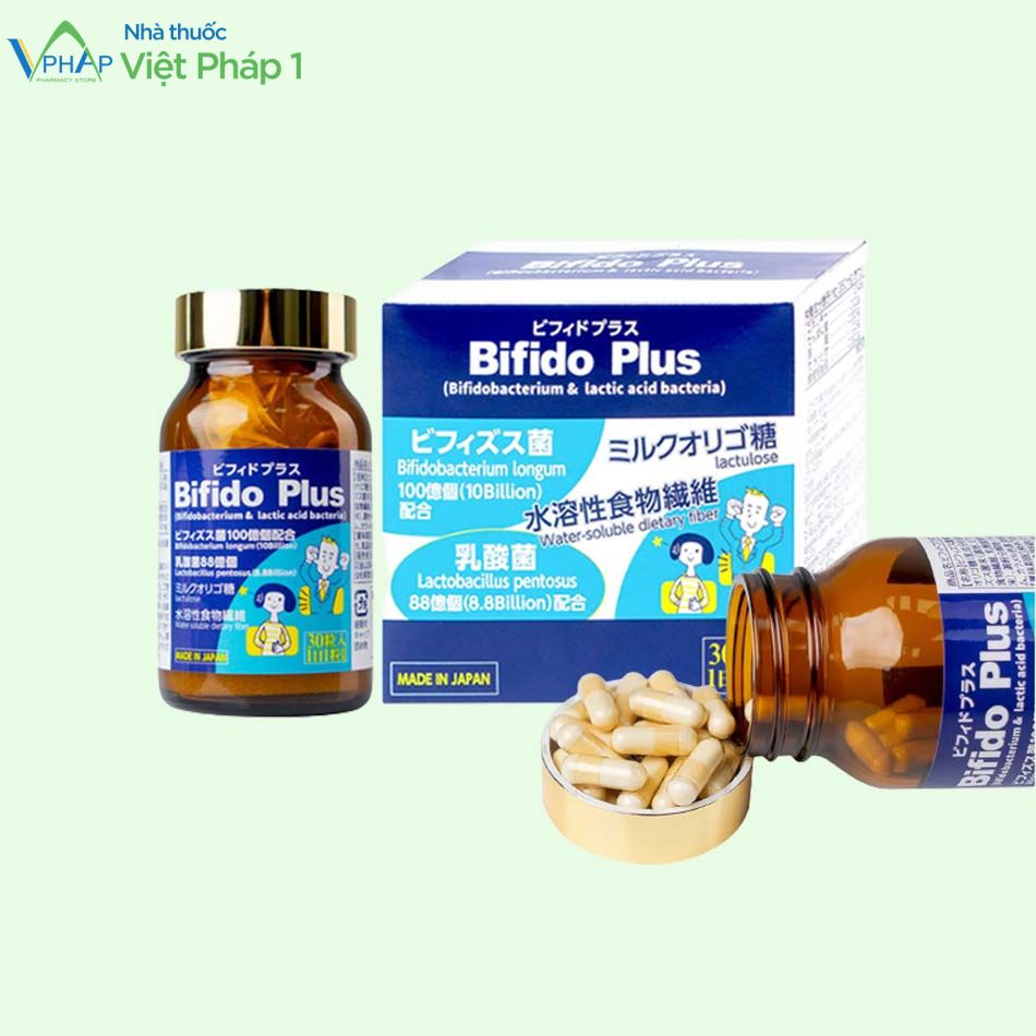 Bifido Plus cải thiện tình trạng rối loạn tiêu hoá