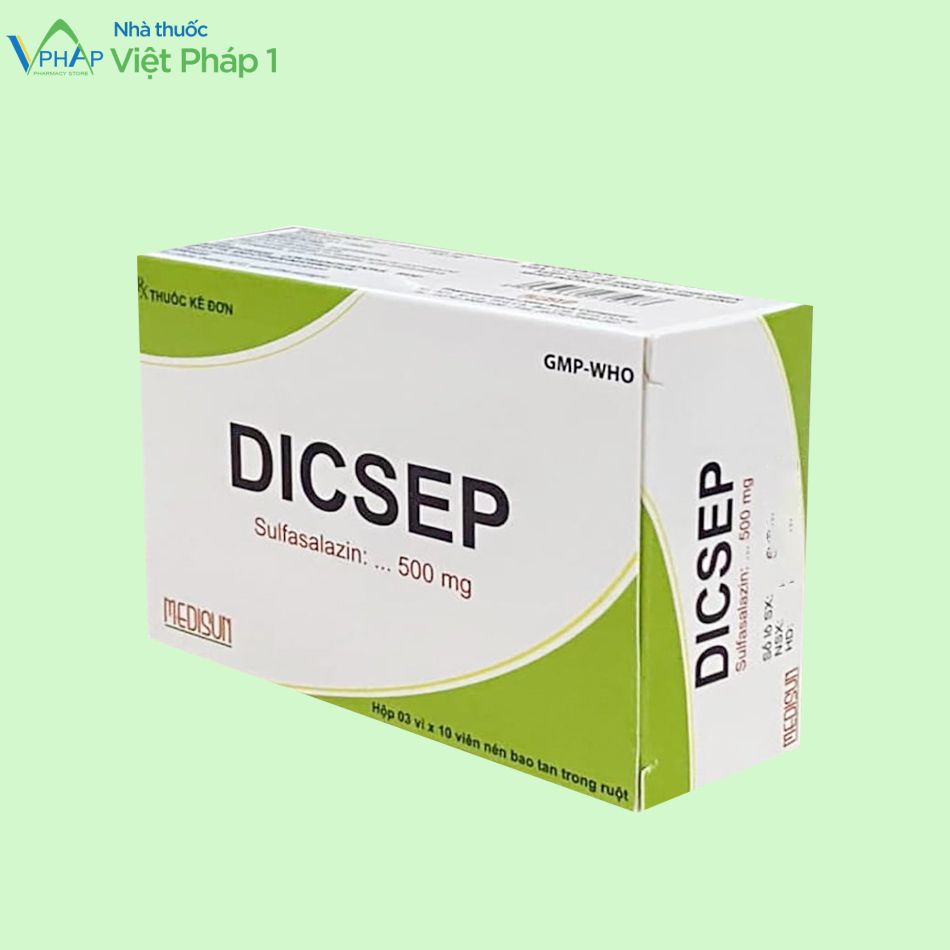 Hình ảnh: Mạt bên của hộp thuốc Dicsep 500