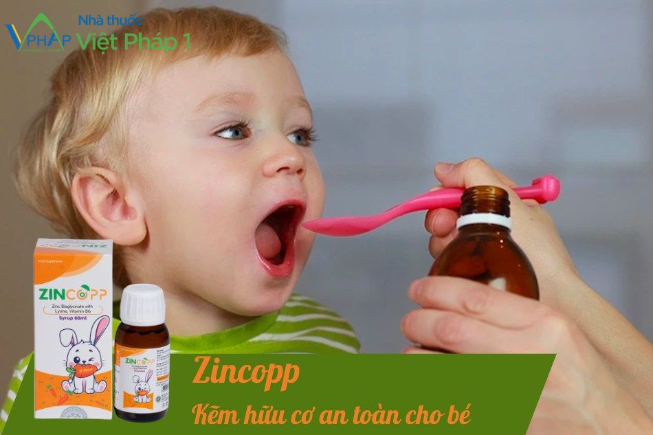 Cách sử dụng Zincopp