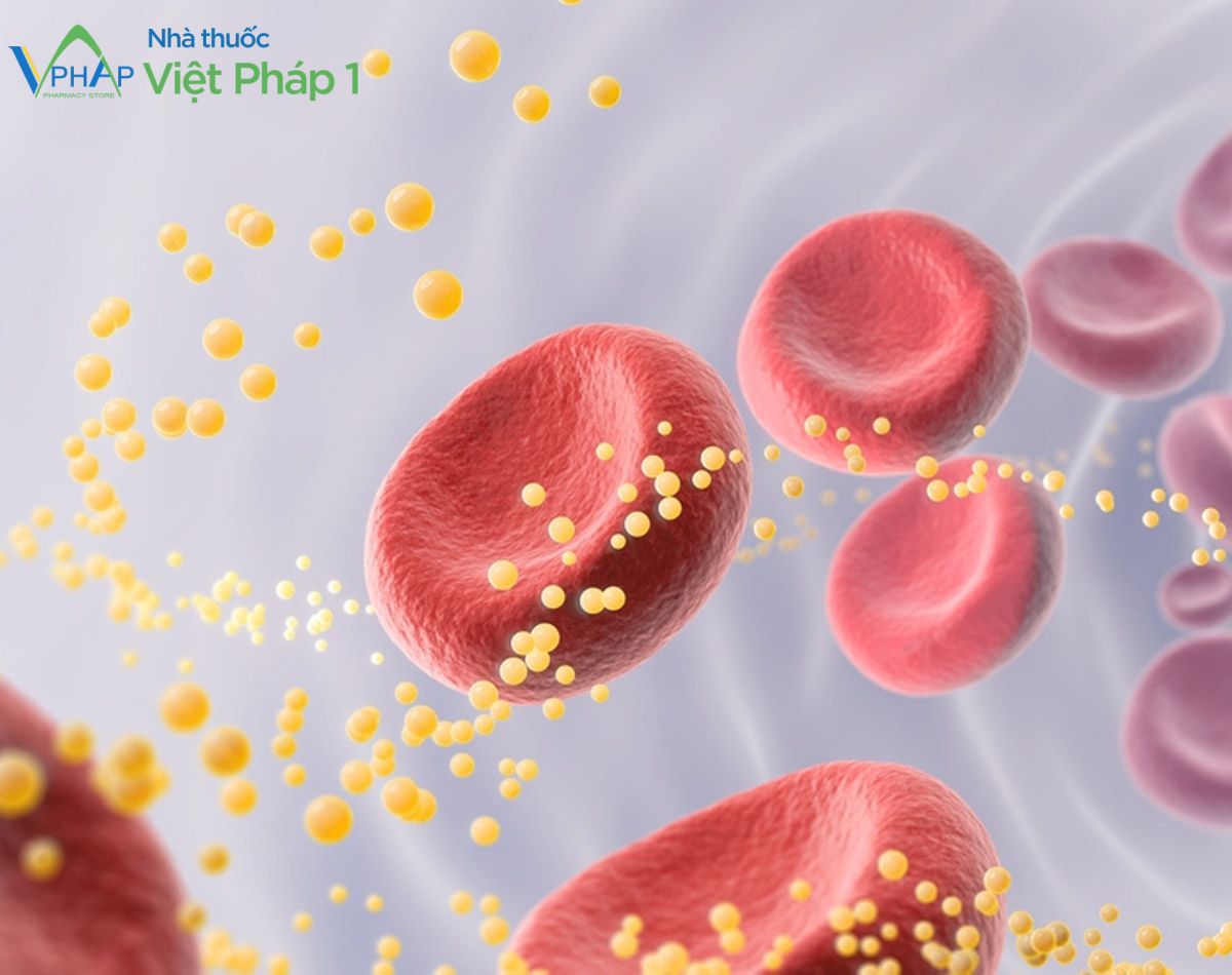 Thuốc Pitalip 2mg có tác dụng điều trị rối loạn lipid máu