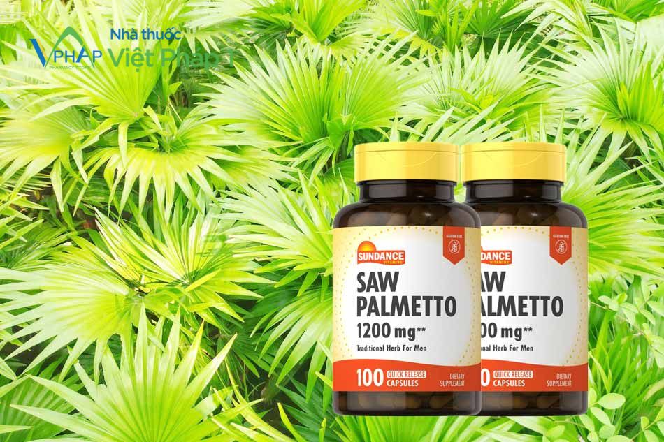 Viên uống Saw Palmetto 1200mg chiết xuất cây cọ lùn