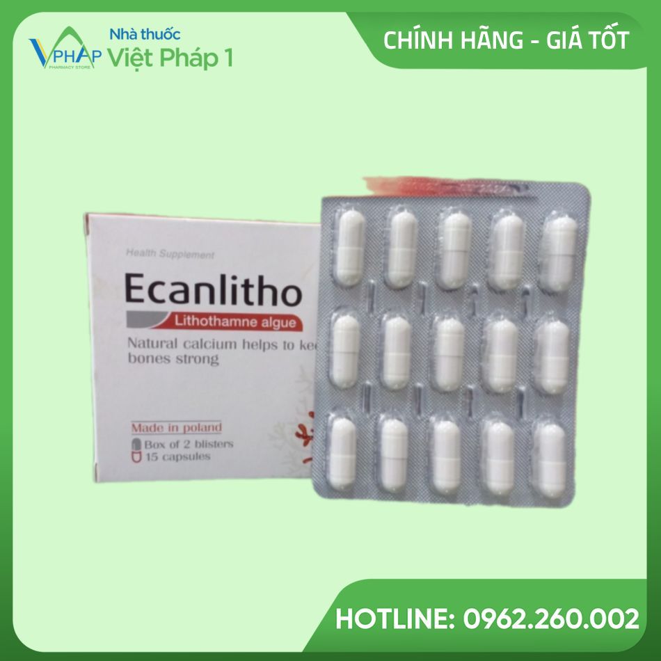 Hộp và vỉ Ecanlitho